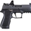 PISTOLA P320 RXP XCOMPACT CALIBRE 9MM - SIG SAUER 3 PISTOLA P320 RXP XCOMPACT CALIBRE 9MM - SIG SAUER